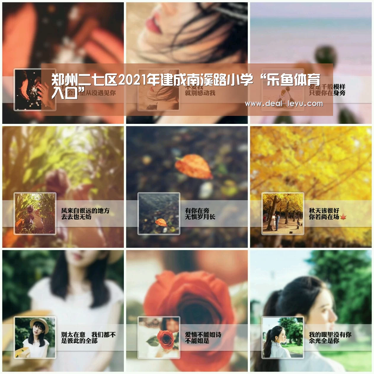 乐鱼体育入口