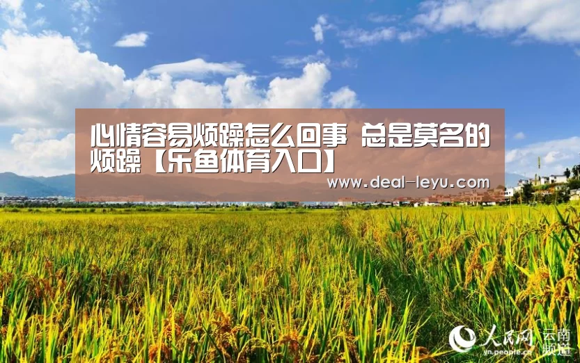 乐鱼官网下载